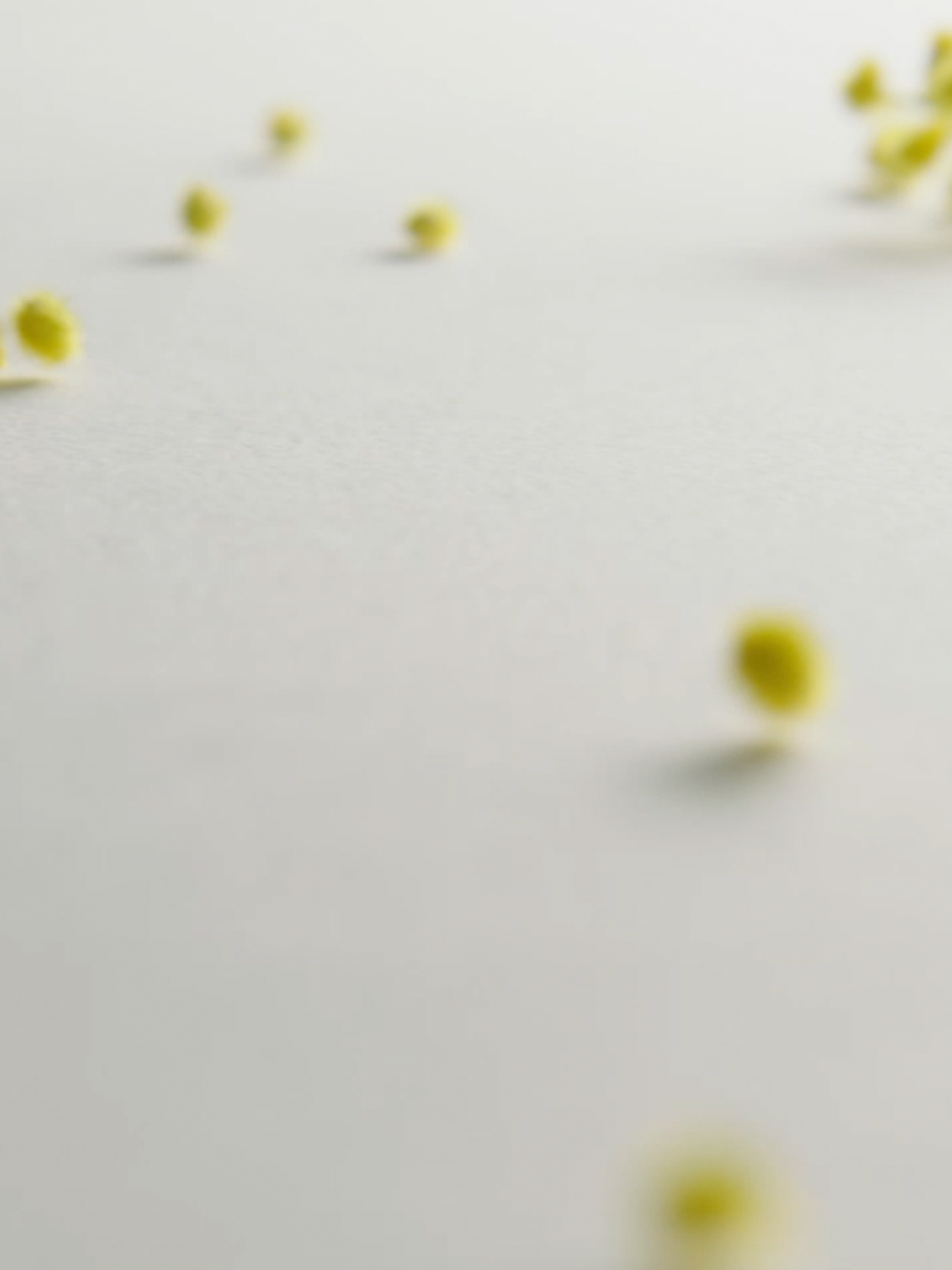 Inhaltsstoffe L'Eau Papier von Diptyque – Mimose
